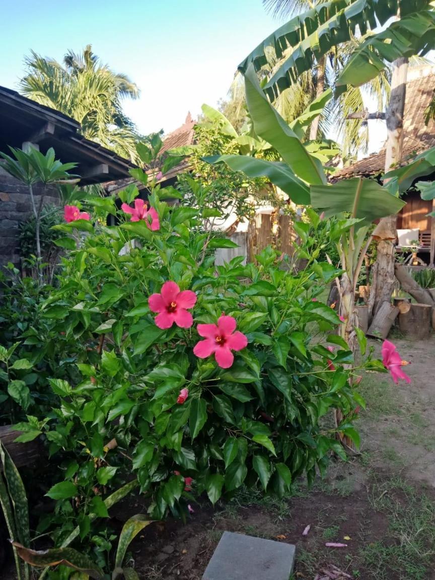 Blu D'Amare Hotel Gili Trawangan Bagian luar foto